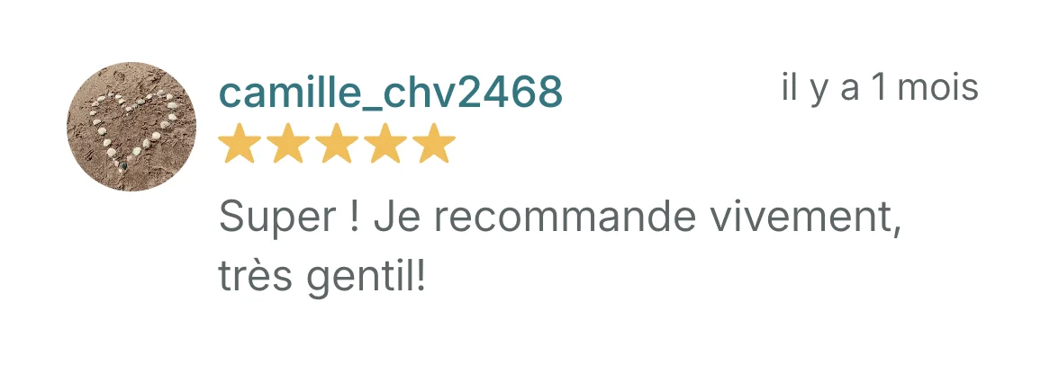avis 7